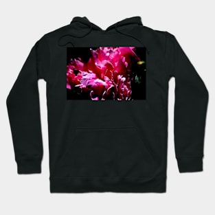 Peony Blossom Hoodie